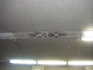 名古屋市にて、照明器具、蛍光灯取替電気工事を致しました。