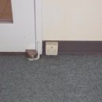 名古屋市にて、オフィス 配線処理 原状回復工事のご依頼を頂きました。